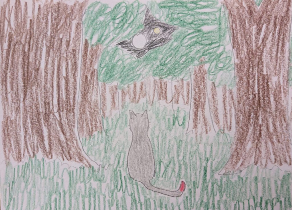 A light gray cat with a red tail tip gazes up at two moons visible through a break in the branches of trees in a forest.